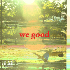 we good (prod. sam dapper)