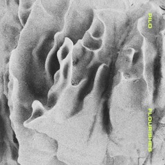 Boysnoize Records Radio