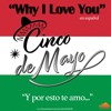 WHY I LOVE YOU (Spanish Version)
