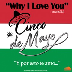 WHY I LOVE YOU (Spanish Version)