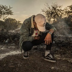 7ARI - L'OSEILLE