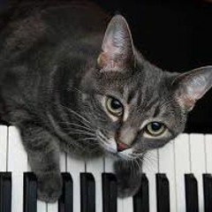 Menuett g-moll Handel Transcription Kempff