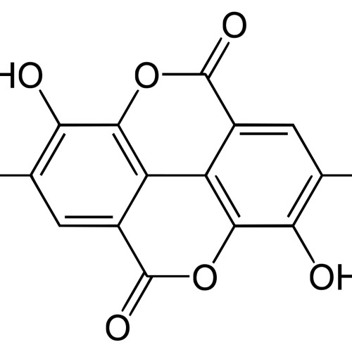 Luche EnTek - A Comme Acid