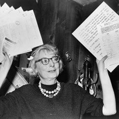 Interview with Dogwoof - The world's leading documentary distributor