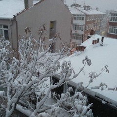 Brahim - Erkal - Gonul - Limani