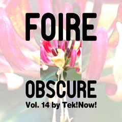Foire Obscure 014 by Tek!Now! / Vinyl only / Tracklist