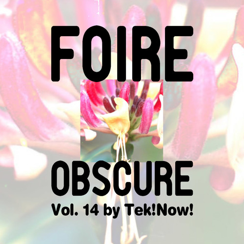 Foire Obscure 014 by Tek!Now! / Vinyl only / Tracklist