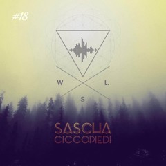 Sascha Ciccopiedi Podcast  Set WoodLab