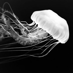 Agent.P - Fonky S Beat (Original Mix)