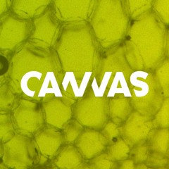 Sander & Block @ CANVAS w/ Echoes of October