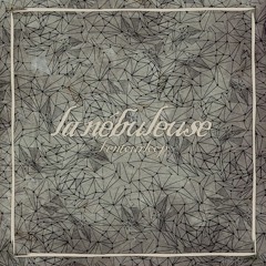 L'ENTOURLOOP - La Nébuleuse