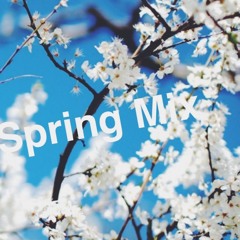 Spring/Summer Mix