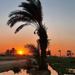 تجرحيني - كف أسواني