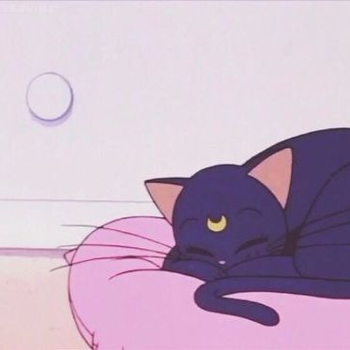 wake up