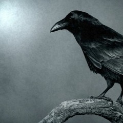 The Dirty Bird Gets The Worm