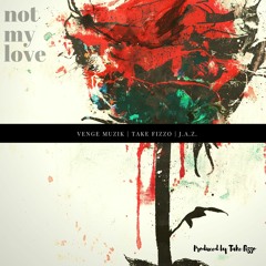 Not My Love - VengeMuzik, Take Fizzo & J.A.Z.