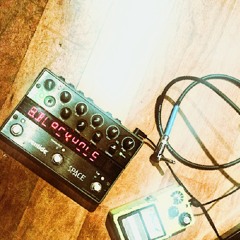 Froth - Shut The Windows (Live at XPN)