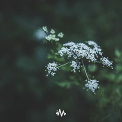 Tim Schaufert - How I Feel About You