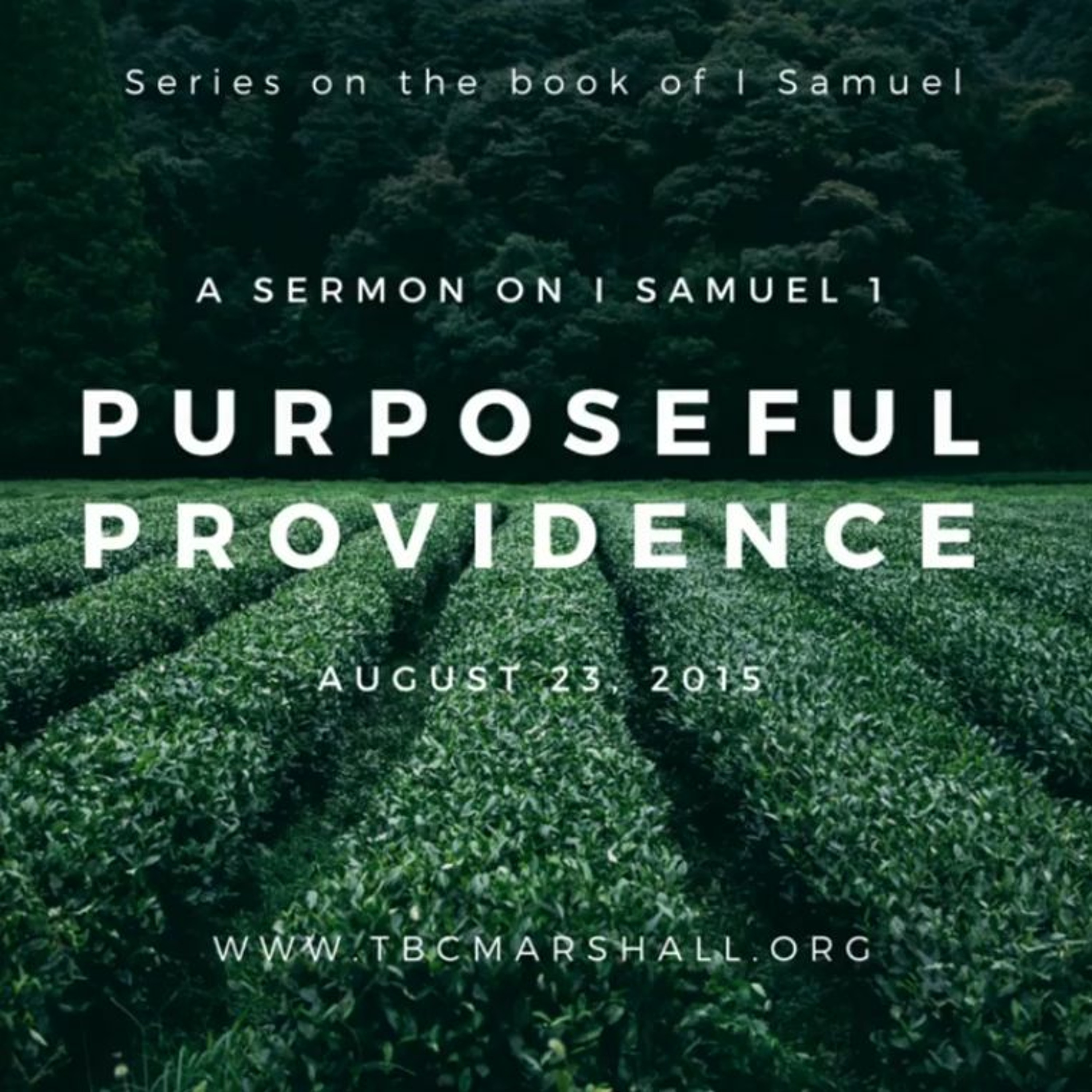 Providence Sermons
