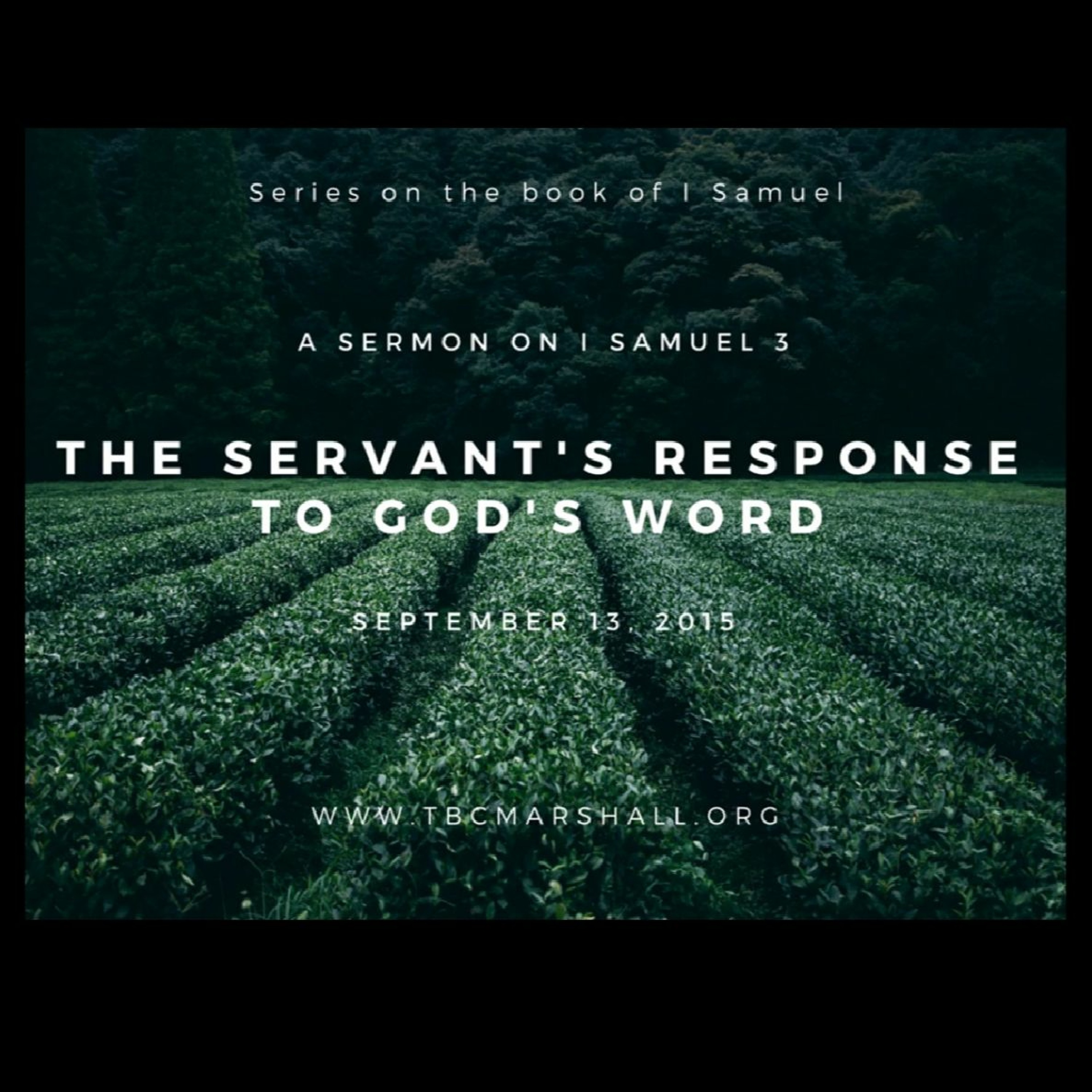 Providence Sermons