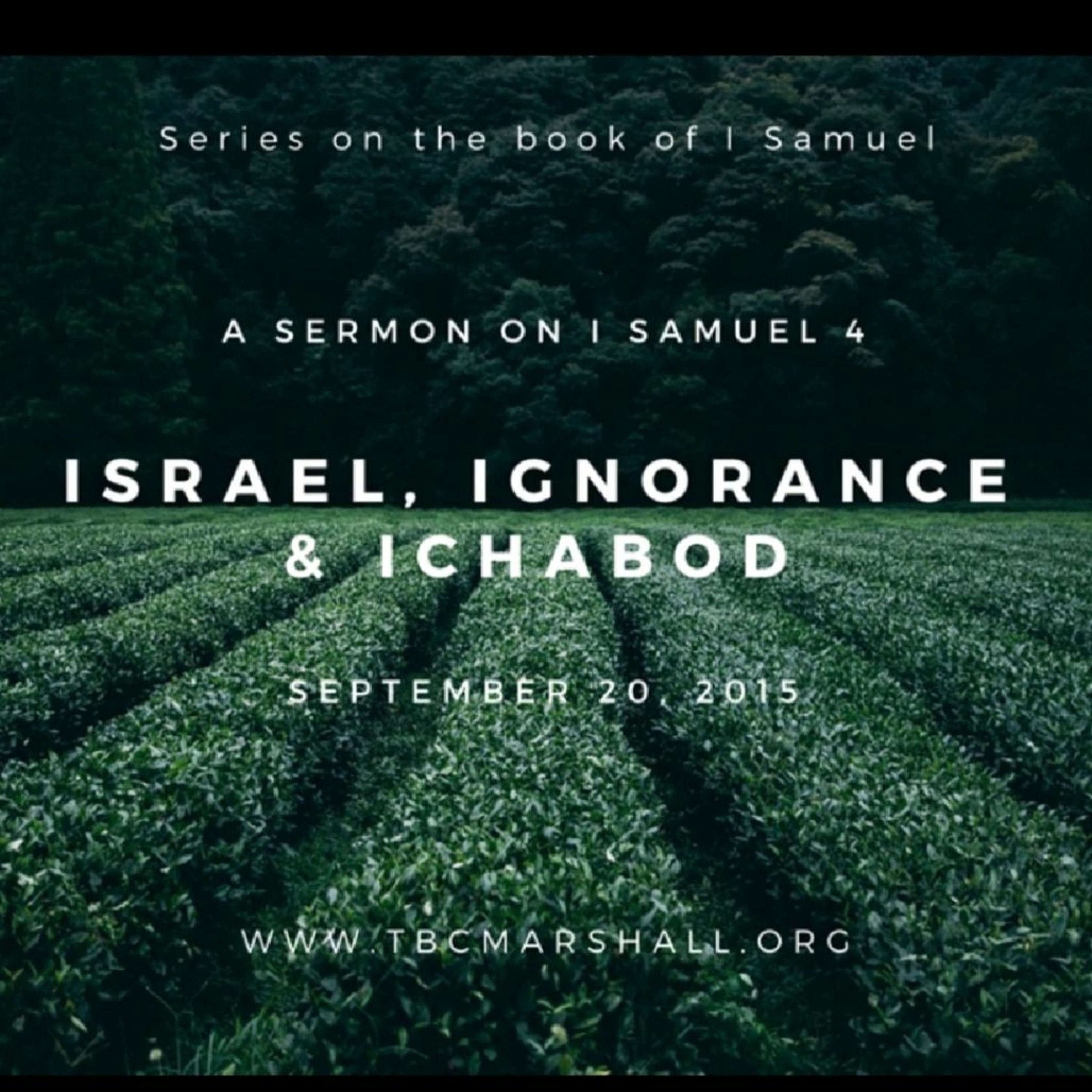Providence Sermons
