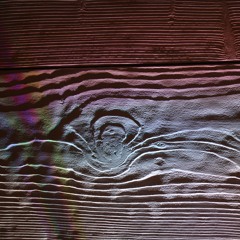 Tree Growing Till Eternity