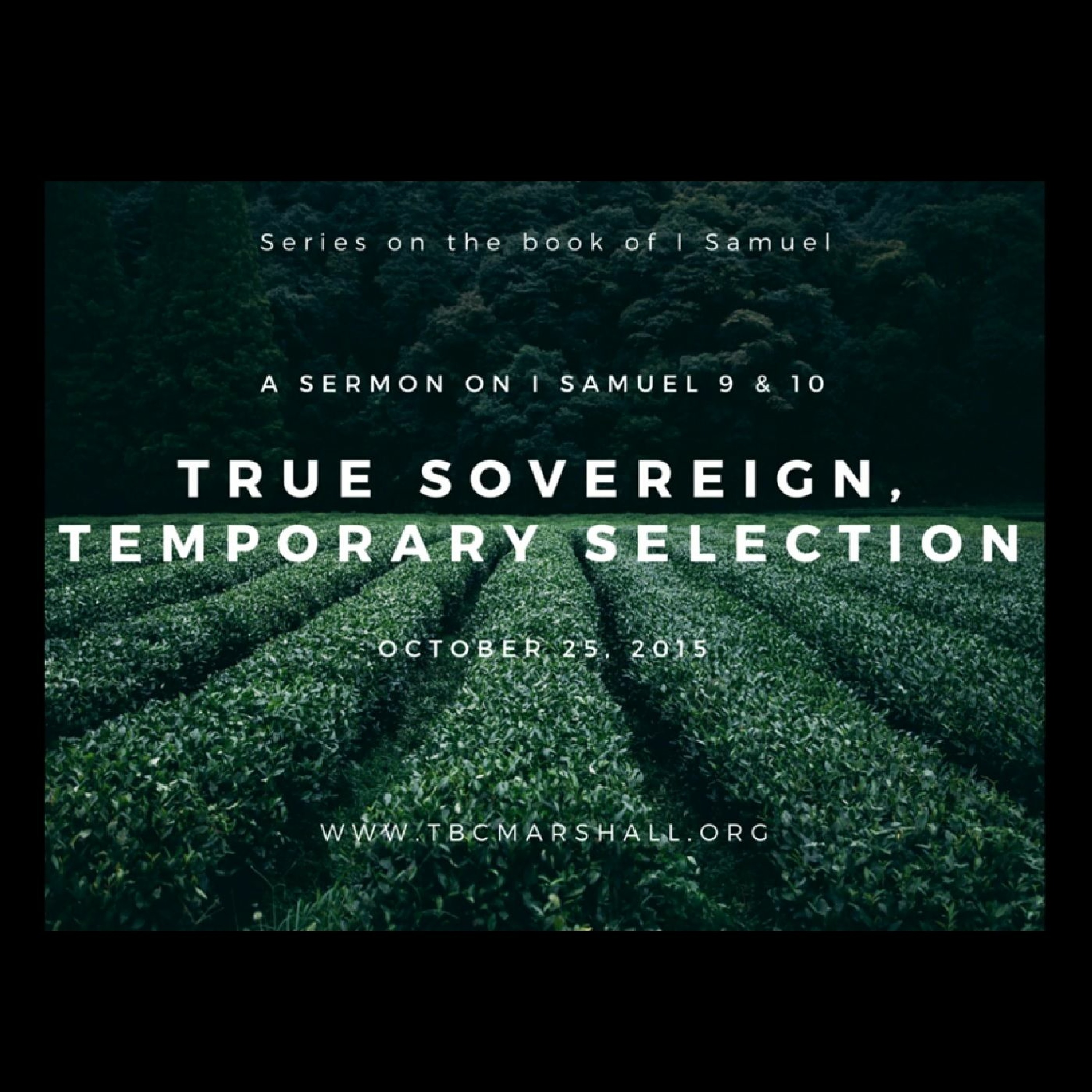 Providence Sermons