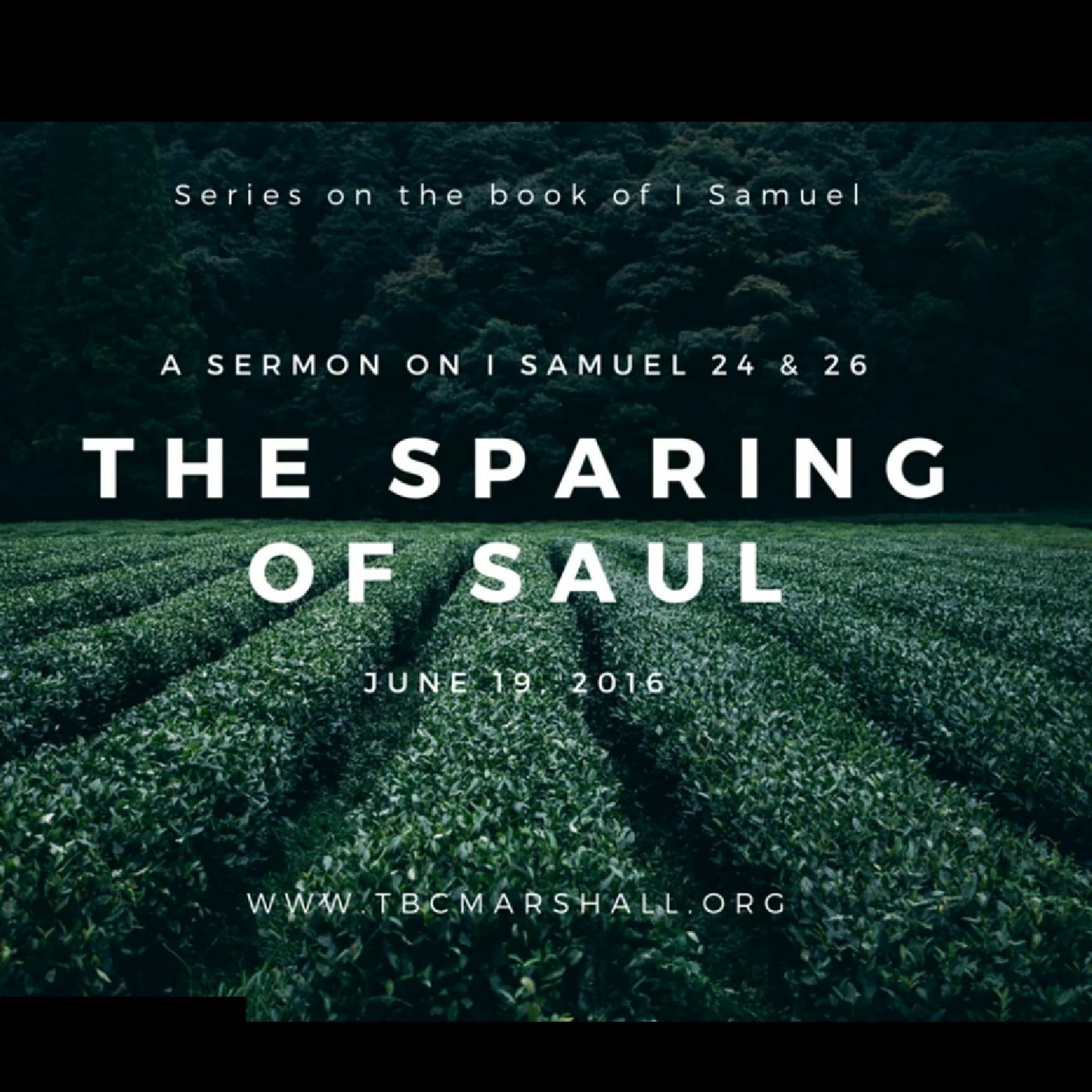 Providence Sermons