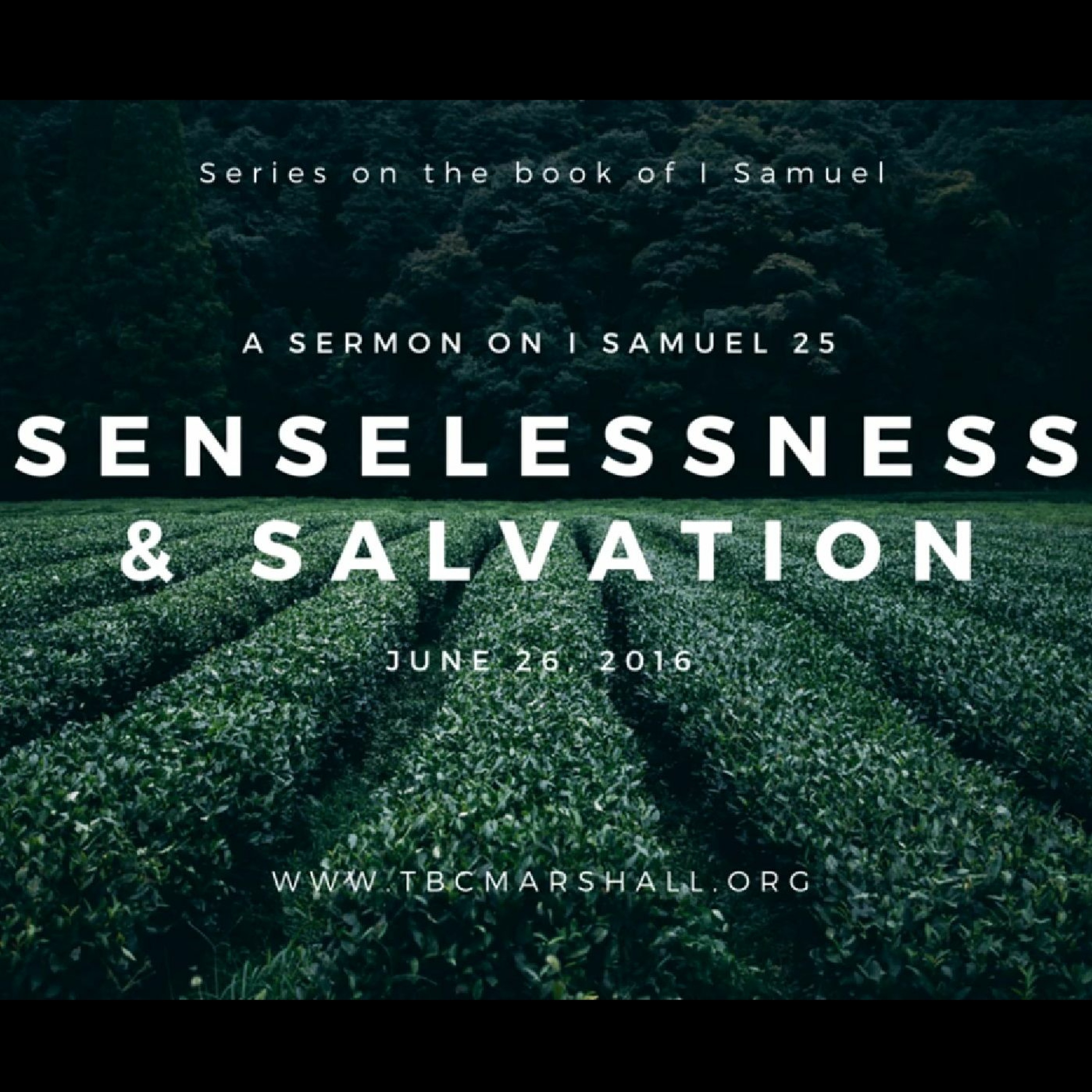 Providence Sermons