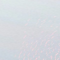 thought (dsqt0279)