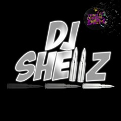 SET SPEED FI DI GYAL DEM DJ SHELLZ (SPEED)RAW