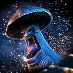 M.S Dj Sonic PsyTrance 05.05.2017