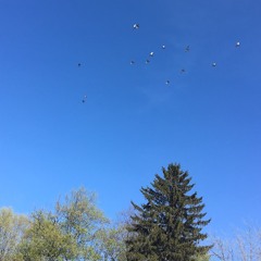 first day of my life cover