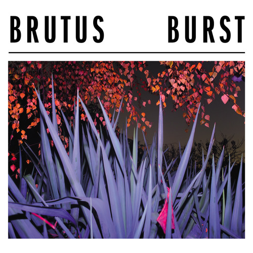 Brutus - Drive