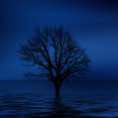 The Forgotten Dream (original composition