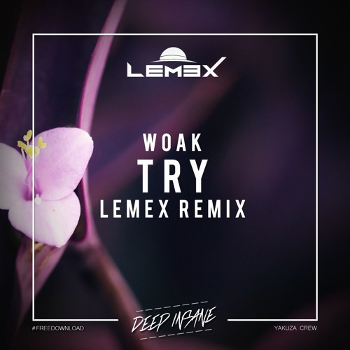WOAK - Try (Lemex Remix) [FREE DOWNLOAD