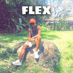 FLEX