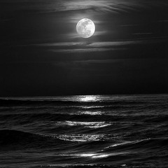 Code Wu - 洋流 Ocean Current