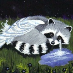 Song Of A Lost Raccoon