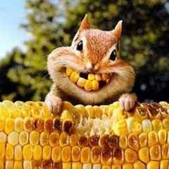 Pooby - Digital Break - May 2017