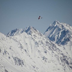 Short Feelings (Demo)