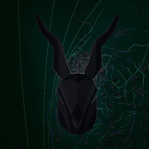 matt:er // Hunting the Dark Rabbit