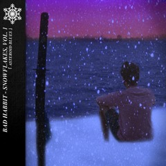 Snowflakes Vol 1. - Asteroid Blues