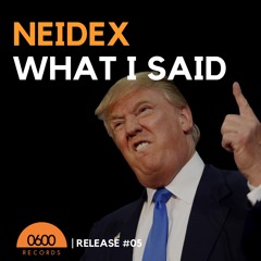 Neidex - What I Said (Original Mix)