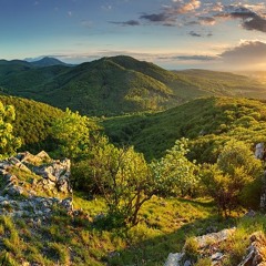 Spring In Slovakia