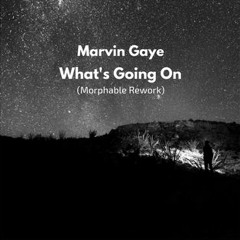 Marvin Gaye - What's Going On (Morphable Rework)