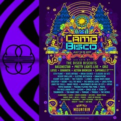 Camp Bisco 2017