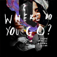 Where D'you Go (feat. Zhenya Suetina)