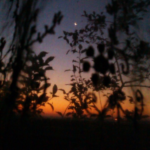 Acquainted with the Night (Demo)