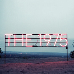 the 1975 102